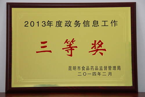 4.2013年度政务信息工作三等奖