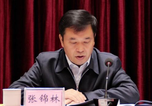 省市场监管局党组书记、局长张锦林作工作报告