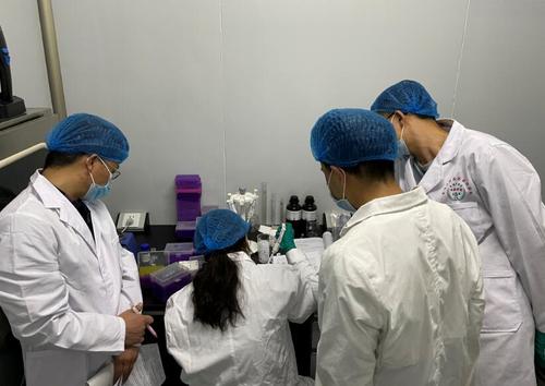 积极开展能力提升项目分子生物学技术组专题培训