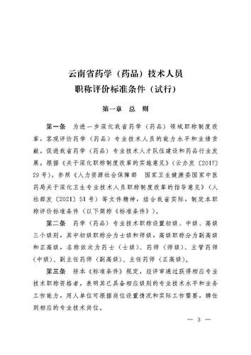 云南省人力资源和社会保障厅云南省药品监督管理局关于印发《云南省药学(药品)技术人员职称评价标准条件(试行)》的通知_Page3